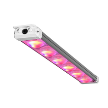 Lade das Bild in den Galerie-Viewer, GH50 8-channel plant growth lamp, medicinal plant growth lamp