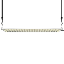 將圖片載入圖庫檢視器 G138 succulent plant grow light Supplementary lighting flytrap plant growth lamp