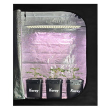 將圖片載入圖庫檢視器 G138 succulent plant grow light Supplementary lighting flytrap plant growth lamp