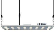 將圖片載入圖庫檢視器 G138 succulent plant grow light Supplementary lighting flytrap plant growth lamp