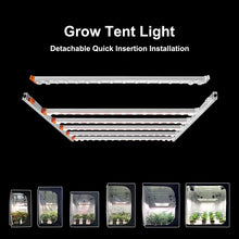 Load image into Gallery viewer, G50 detachable shipping Quick insertion installation high uniformity and high PPFD best plant grow light
