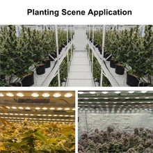 將圖片載入圖庫檢視器 G80 Best Grow Light Series - Leapfrogged Compared with all famous brands
