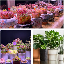 將圖片載入圖庫檢視器 PAR38 Waterproof Full-spectrum Grow Light Bulb Caudex plant succulent plants, flytrap plant growth lamps