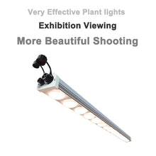 將圖片載入圖庫檢視器 GH5035 Home cultivation ornamental plant lights, viewing, more beautiful shooting suitable forhigh-light ornamental plants