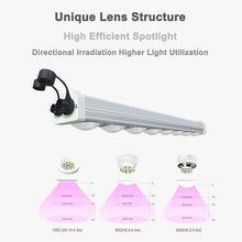 將圖片載入圖庫檢視器 GH5035 Home cultivation ornamental plant lights, viewing, more beautiful shooting suitable forhigh-light ornamental plants