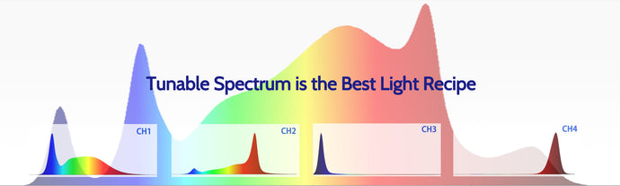 Tunable spectrum is the best light spectrum
