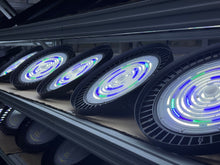 Load image into Gallery viewer, Horticultural LED Module Greenhouse Supplemental Lighting Cultivation Medicinal Plant Grow Light 200W LED Grow Lights
